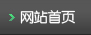 ��վ��ҳ